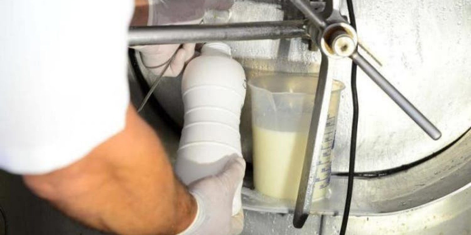 Procon notifica três indústrias em Santa Catarina por aumento de até 50% no preço do leite