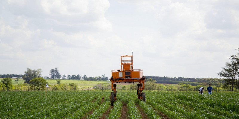 Guerra entre Rússia e Ucrânia afeta a agricultura de SC e aumenta preços